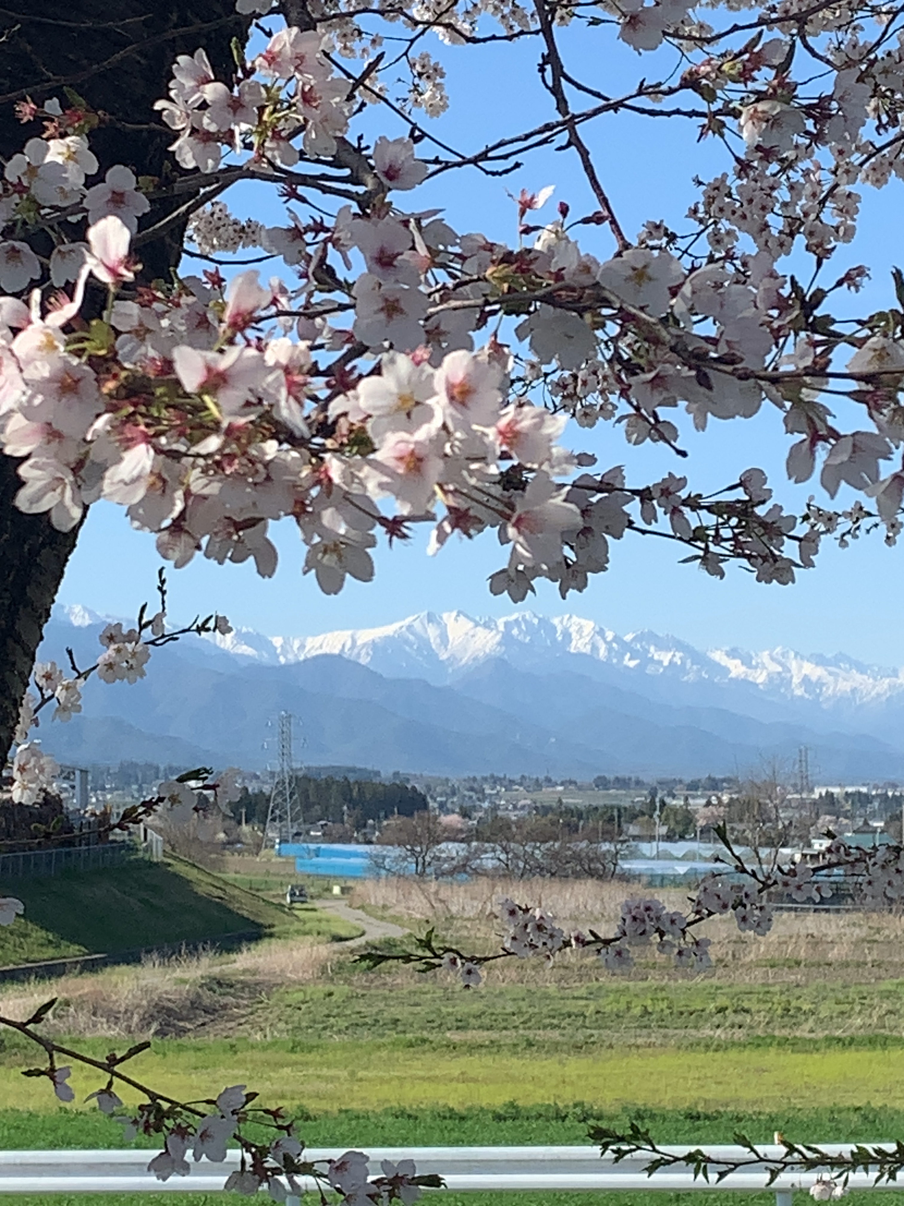 三郷 黒澤川