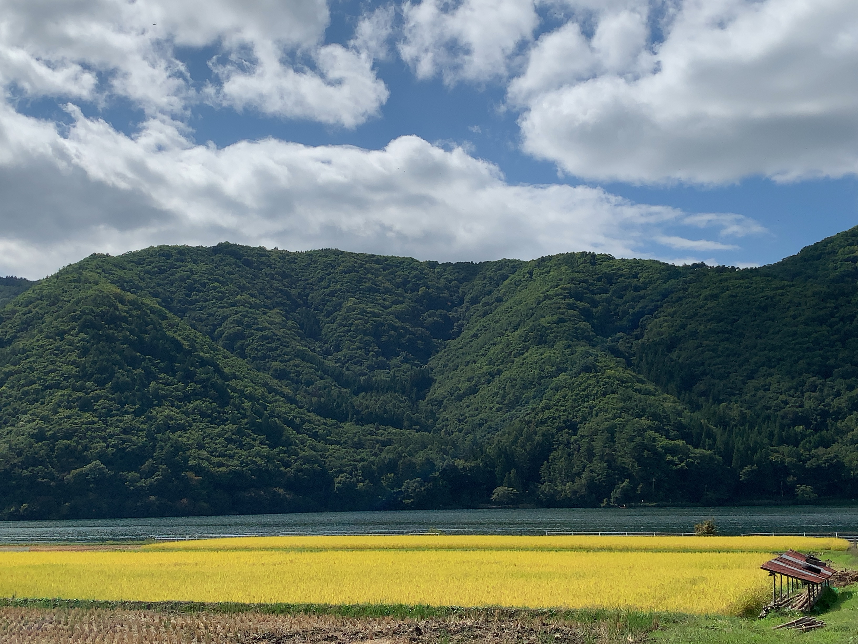 木崎湖